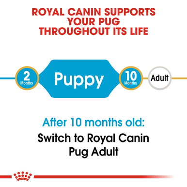 Royal Canin Pug Puppy Dry Dog Food