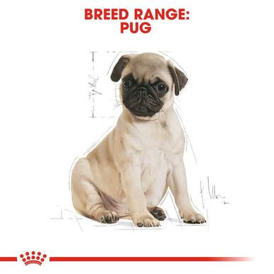 Royal Canin Pug Puppy Dry Dog Food