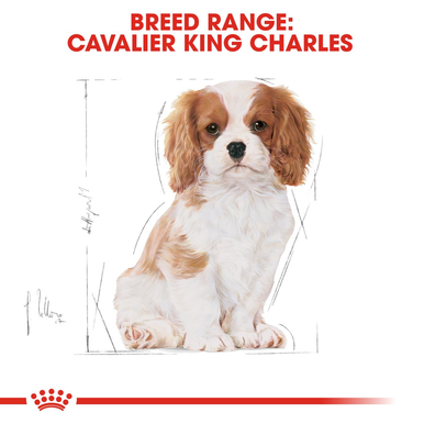 Royal Canin Cavalier King Charles Puppy Dry Dog Food