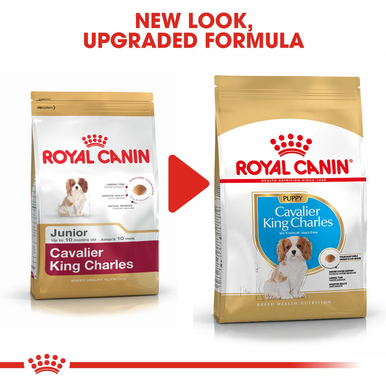 Royal Canin Cavalier King Charles Puppy Dry Dog Food