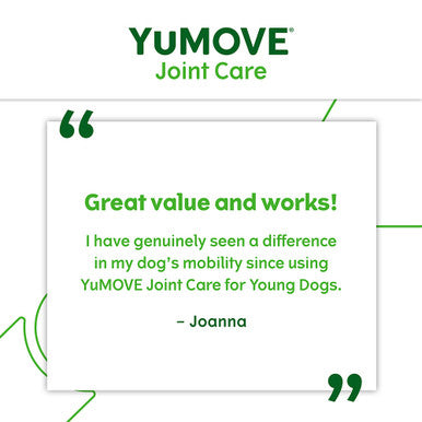 YuMOVE Young & Active Dog Joint Supplement with ActivEase