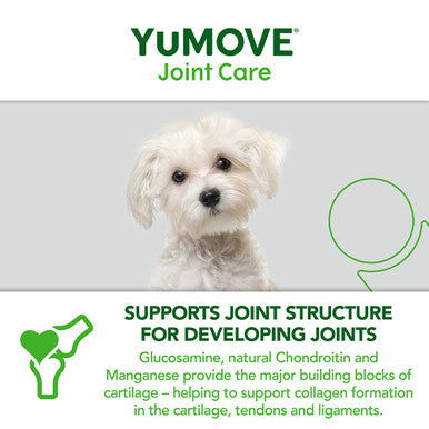 YuMOVE Young & Active Dog Joint Supplement with ActivEase