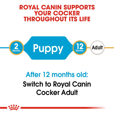 Royal Canin Spaniel Cocker Puppy Dry Dog Food