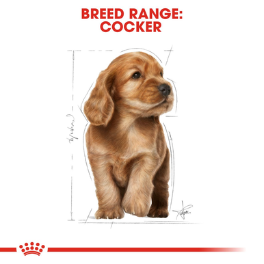 Royal Canin Spaniel Cocker Puppy Dry Dog Food