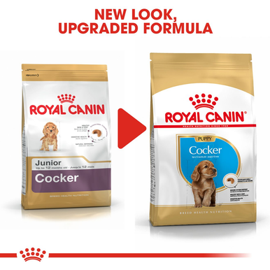 Royal Canin Spaniel Cocker Puppy Dry Dog Food