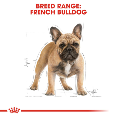 Royal Canin French Bulldog Adult Dry Dog Food