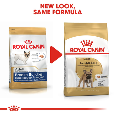 Royal Canin French Bulldog Adult Dry Dog Food