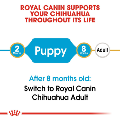 Royal Canin Chihuahua Puppy Dry Dog Food