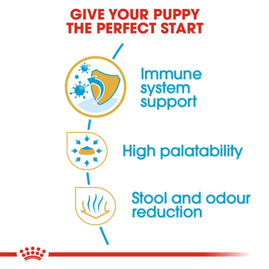 Royal Canin Chihuahua Puppy Dry Dog Food