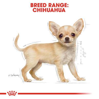 Royal Canin Chihuahua Puppy Dry Dog Food