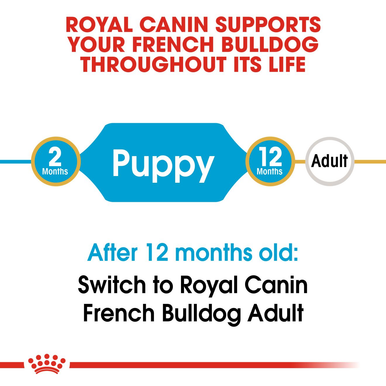 Royal Canin French Bulldog Puppy Dry Dog Food