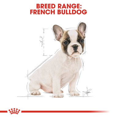 Royal Canin French Bulldog Puppy Dry Dog Food