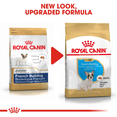 Royal Canin French Bulldog Puppy Dry Dog Food