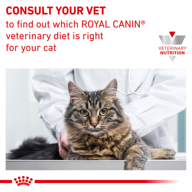 Royal Canin Veterinary Mobility Adult Cat Dry Food