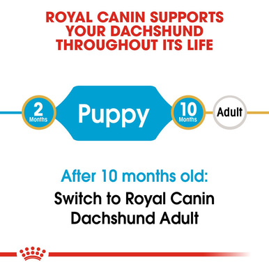 Royal Canin Dachshund Puppy Dry Dog Food