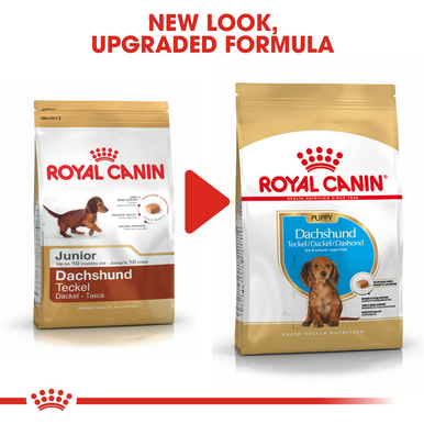 Royal Canin Dachshund Puppy Dry Dog Food