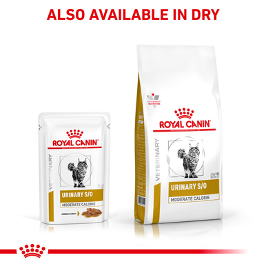 Royal Canin Urinary Moderate Calorie Adult Cat Wet Food - Morsels in Gravy