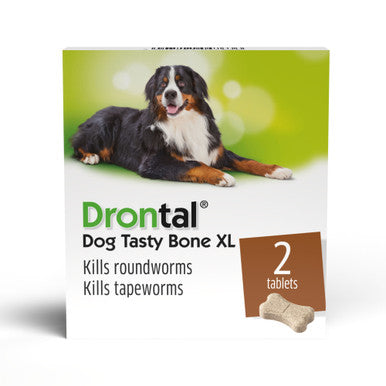 Drontal Tasty Bone XL Wormer Tablets for Large Dogs (Over 20kg) 1 tablet per 35kg