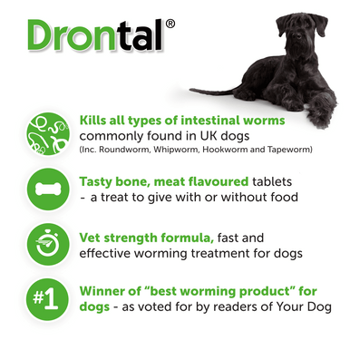 Drontal Tasty Bone XL Wormer Tablets for Large Dogs (Over 20kg) 1 tablet per 35kg