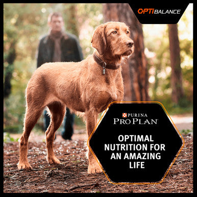 Purina Pro Plan Opti Balance Medium Adult Dry Dog Food - Chicken