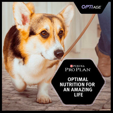 Purina Pro Plan OptiAge Small Adult 9+ Dry Dog Food - Chicken