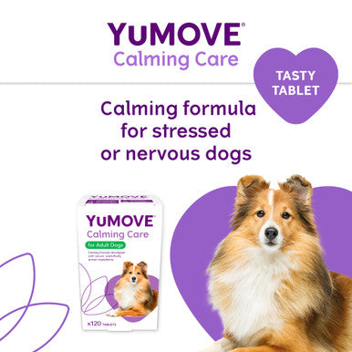 YuMOVE Calming Care Adult Dog Supplement Tablets