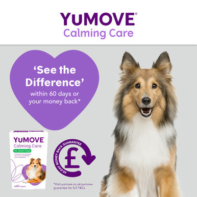 YuMOVE Calming Care Adult Dog Supplement Tablets