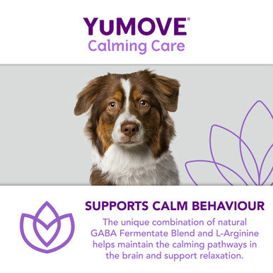 YuMOVE Calming Care Adult Dog Supplement Tablets