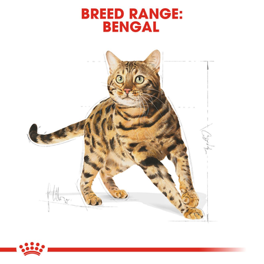 Royal Canin Bengal Adult Dry Cat Food