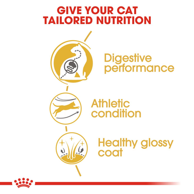 Royal Canin Bengal Adult Dry Cat Food