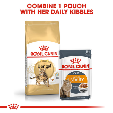 Royal Canin Bengal Adult Dry Cat Food