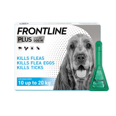 Plus Medium Dog Pipettes