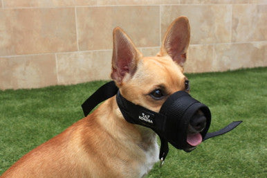 Kokoba Non Pull Muzzle for Dog