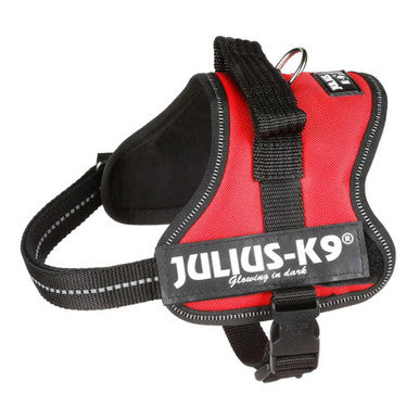 Julius-K9 Dog Powerharness in Red