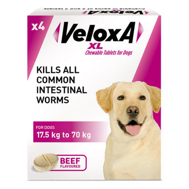 Veloxa XL Chewable Tablets for Dog