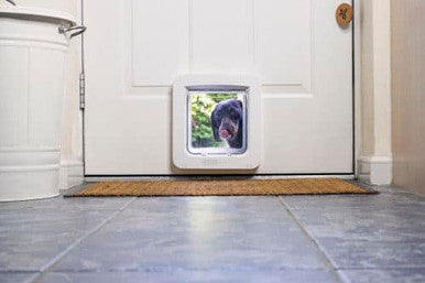 SureFlap Microchip Pet Door Connect with Wireless Hub