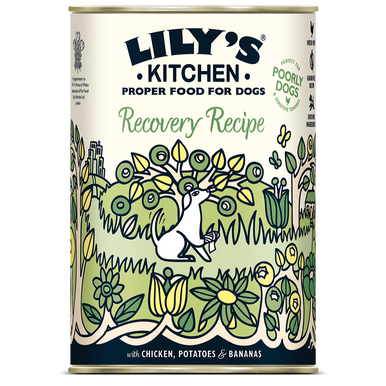 Lily's Kitchen Recovery Recipe Wet Dog Food - Chicken, Potatoes & Bananas