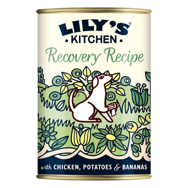 Lily's Kitchen Recovery Recipe Wet Dog Food - Chicken, Potatoes & Bananas