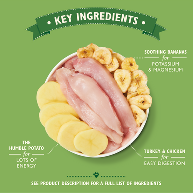 Lily's Kitchen Recovery Recipe Wet Dog Food - Chicken, Potatoes & Bananas