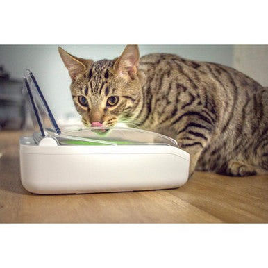 SureFlap SureFeed Sealed Cat Bowl