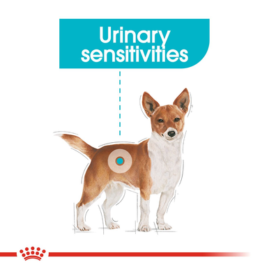 Royal Canin Mini Urinary Care Adult Dry Dog Food