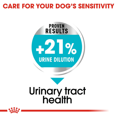 Royal Canin Mini Urinary Care Adult Dry Dog Food