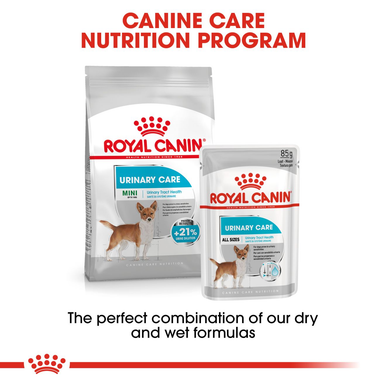 Royal Canin Mini Urinary Care Adult Dry Dog Food