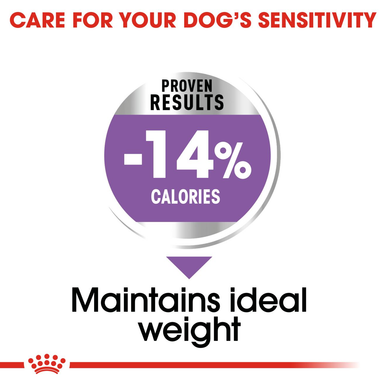 Royal Canin Mini Sterilised Care Adult Dry Dog Food