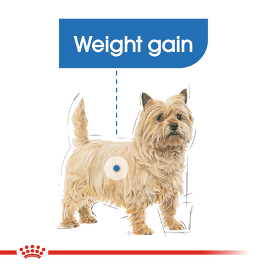 Royal Canin Light Weight Care Adult Wet Dog Food