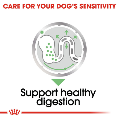 Royal Canin Digestive Care Adult Wet Dog Food