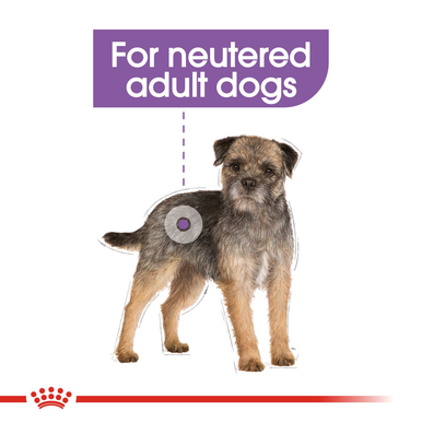 Royal Canin Sterilised Care Adult Wet Dog Food