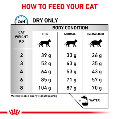 Royal Canin Skin & Coat Adult Dry Cat Food