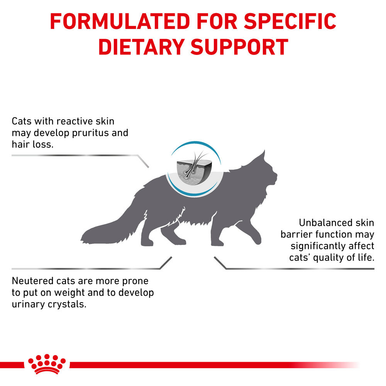 Royal Canin Skin & Coat Adult Dry Cat Food