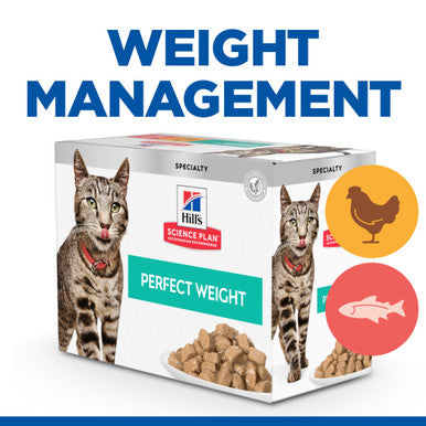 Hill's Science Plan Perfect Weight Adult 1-6 Wet Cat Food Pouches - Delicious Selection